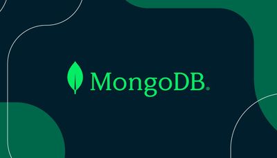 이미 사용 중인 MongoDB 인스턴스 종료하기